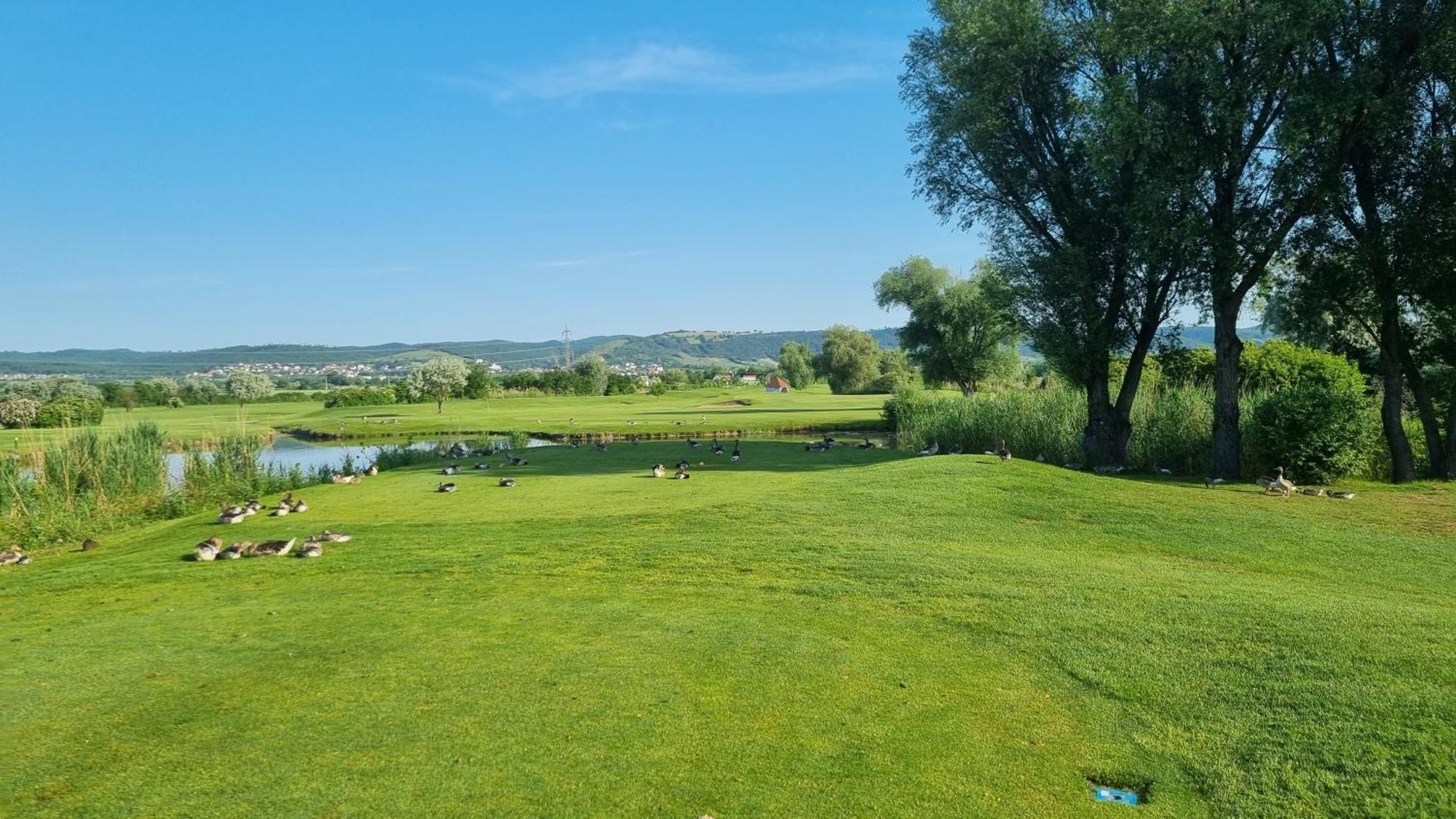 Birkenhof Gols - B & B - Wohlfuehl Hotel Mit Wochenend-Restaurant מראה חיצוני תמונה