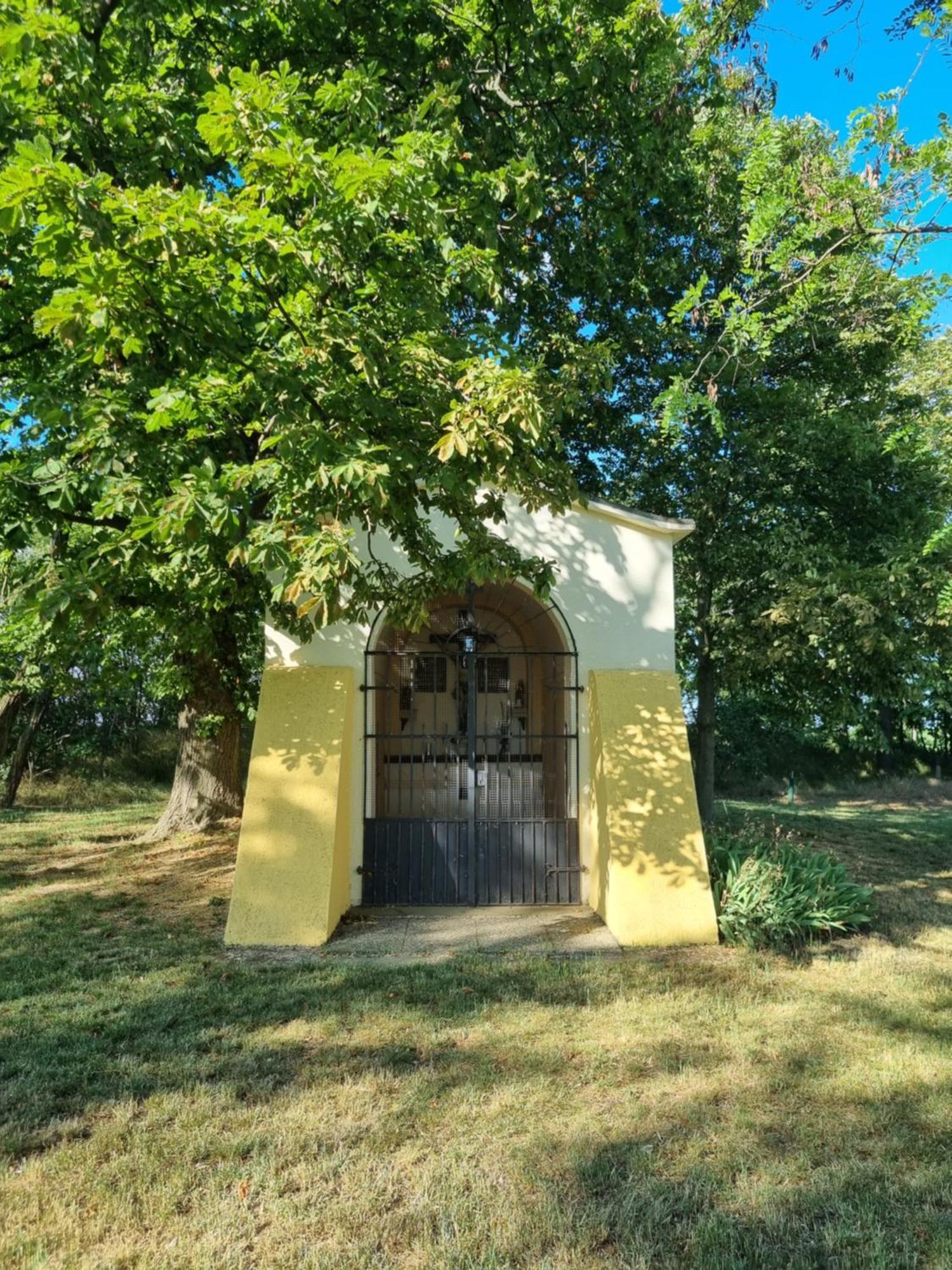 Birkenhof Gols - B & B - Wohlfuehl Hotel Mit Wochenend-Restaurant מראה חיצוני תמונה
