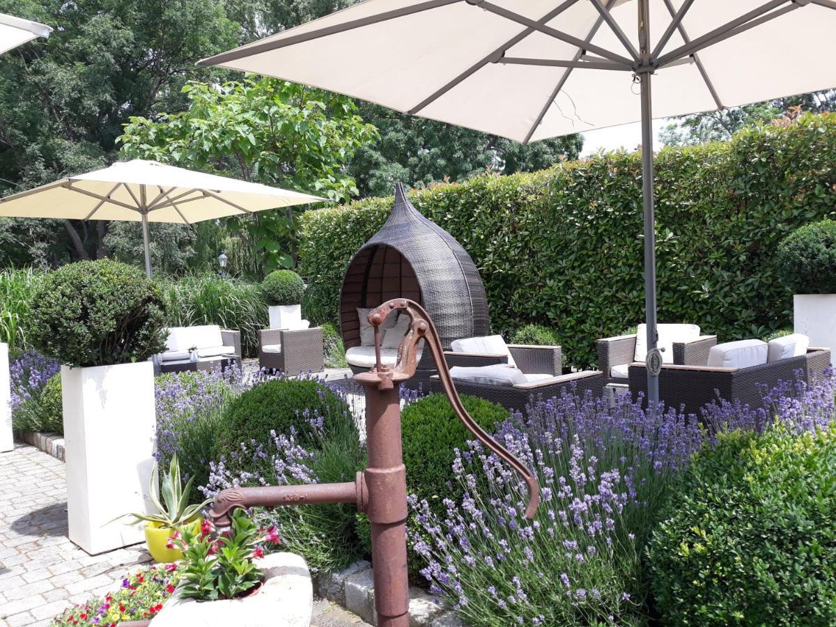 Birkenhof Gols - B & B - Wohlfuehl Hotel Mit Wochenend-Restaurant מראה חיצוני תמונה
